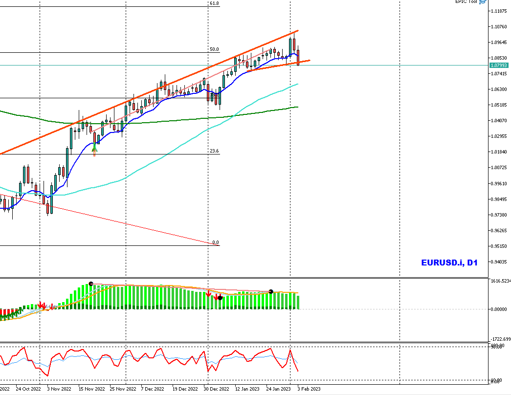 Market Report 30th Jan 2023